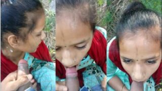Outdoor Desi Pleasures: A Punjaban’s Passionate Encounter