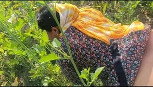 Village Desi Bhabhi Fucked In Mustard Field In Doggy Style . Outdoor Sex Desi Bhabhi With Dewar