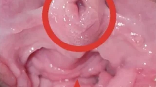 First Time Close Up View Of Indian Ankita Bhabhi Pussy