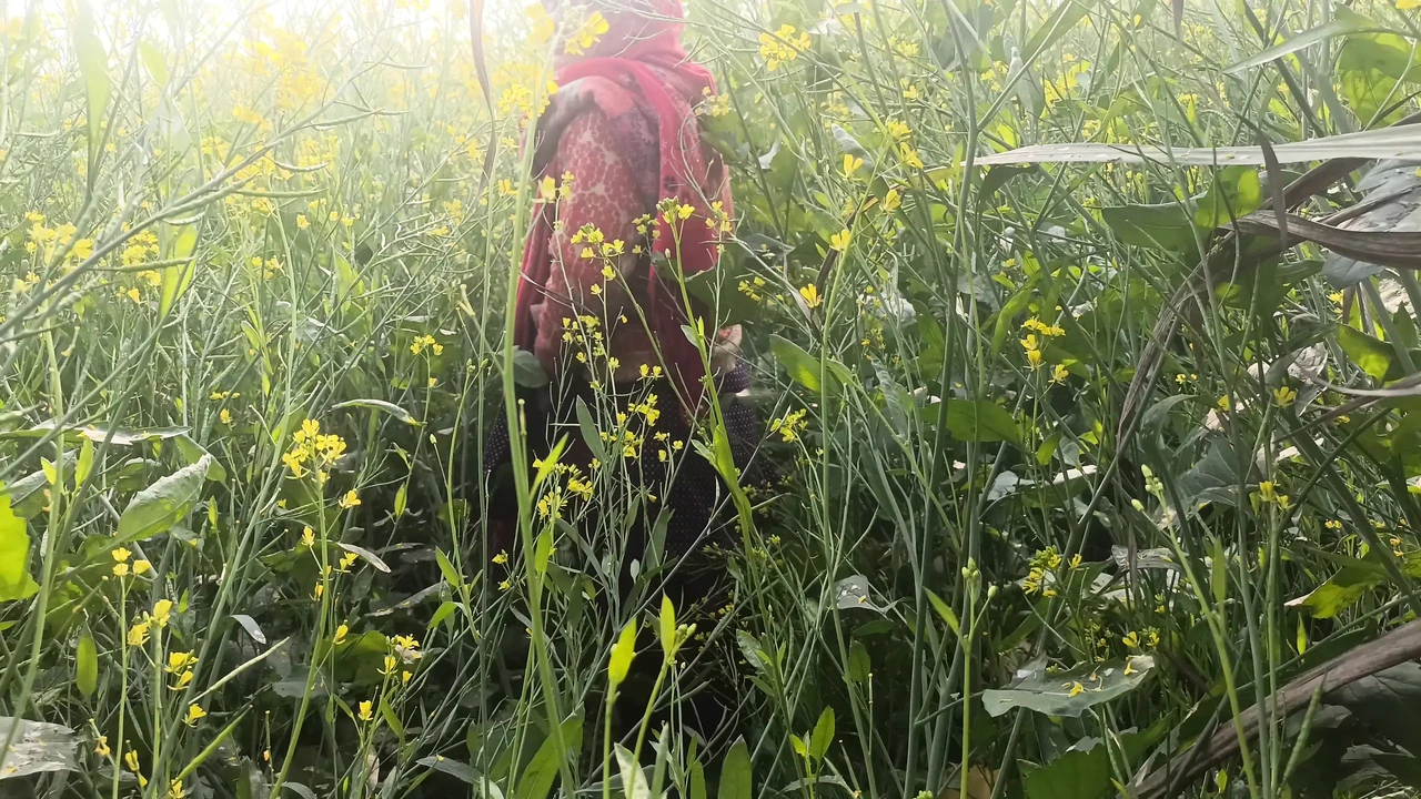 First Time Jungal Me Mangal Xxx Video